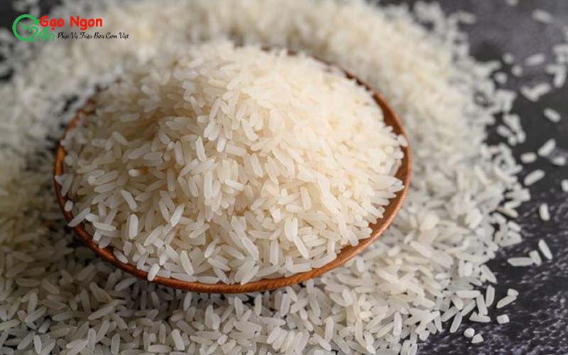 Đại lý gạo ngon 24h chất lượng tại TPHCM