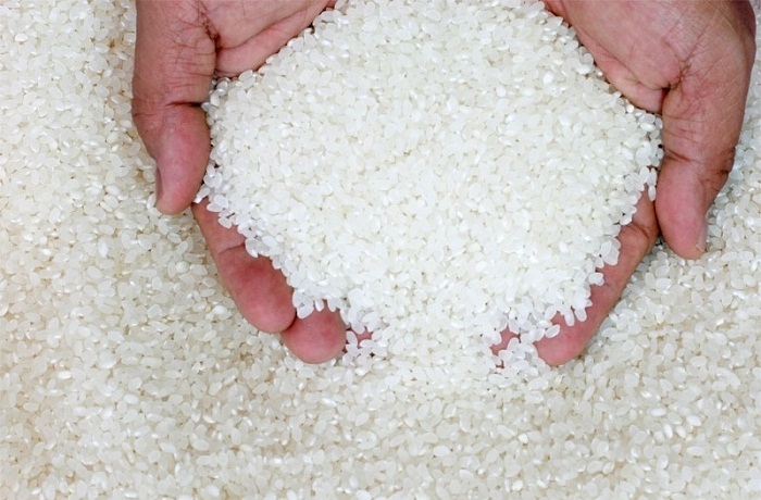 cung cấp gạo làm bột