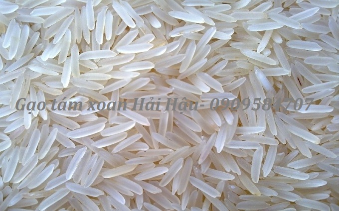 bán gạo hải hậu
