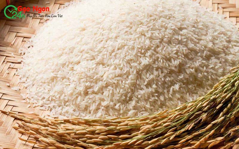 Kho gạo sạch với giá tốt tại TPHCM