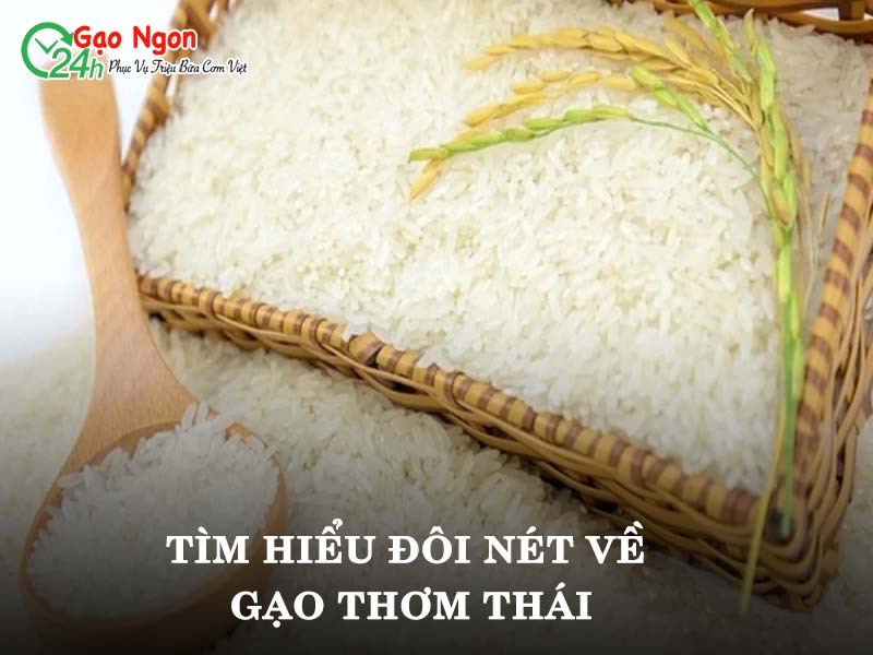 Tìm hiểu đôi nét về gạo thơm Thái