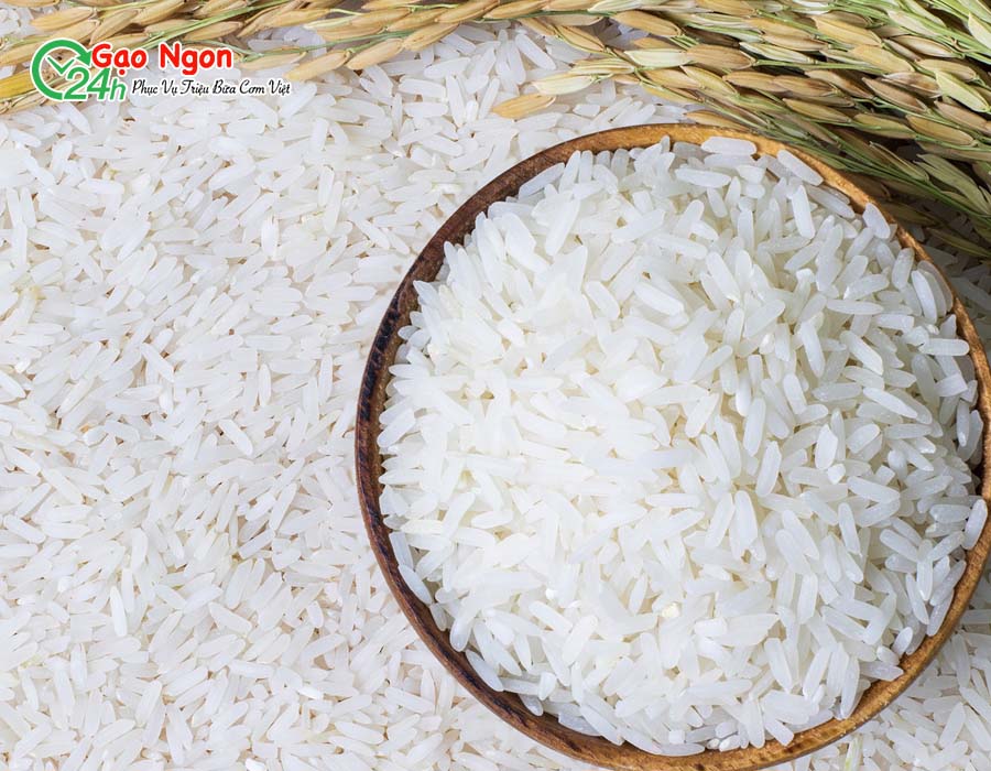 Tìm hiểu về gạo lài sữa miên