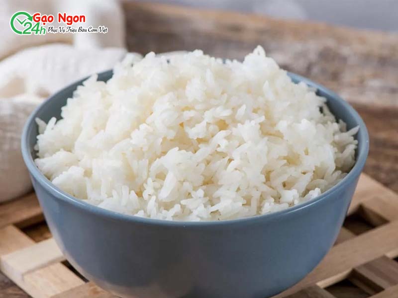 Gạo Ngon 24h - Nơi chọn mua gạo Sóc Miên uy tín nhất hiện nay