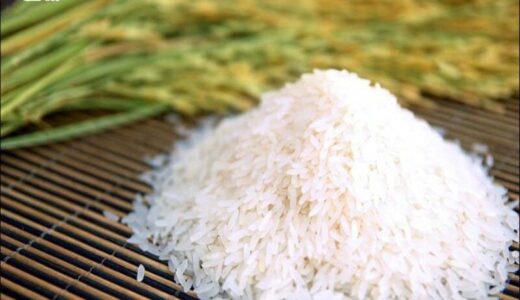 giá gạo sóc miên