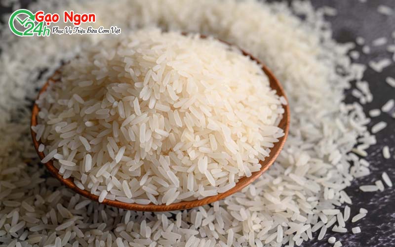 Giới thiệu sơ lược về gạo Sơ ri