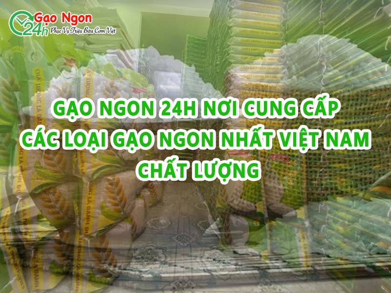 Gạo ngon 24h nơi cung cấp các loại gạo ngon nhất Việt Nam chất lượng