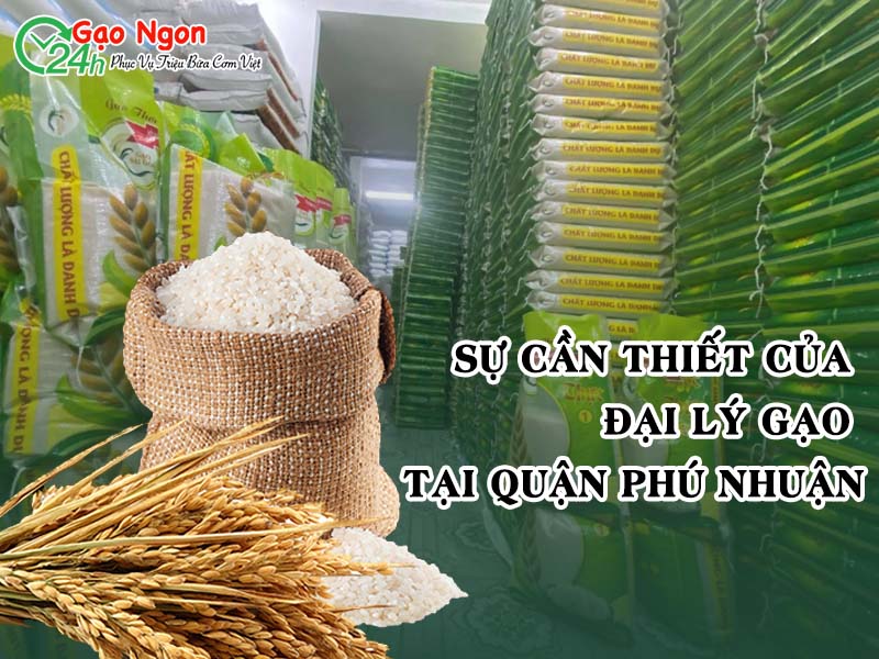 Sự cần thiết của đại lý gạo tại Quận Phú Nhuận
