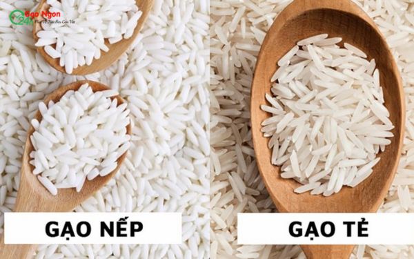 Loại gạo thường dùng nấu rượu