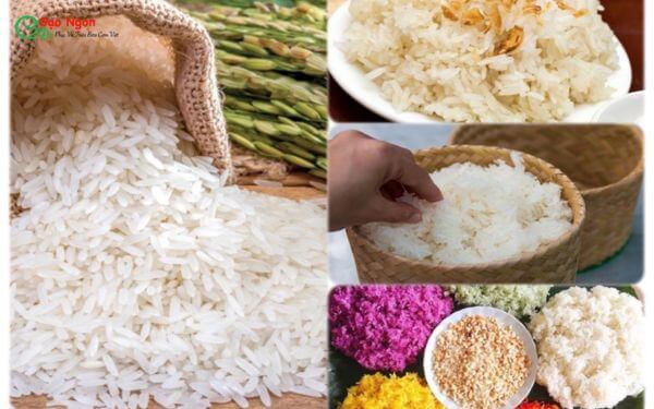 Xôi làm từ gạo ngọc nương