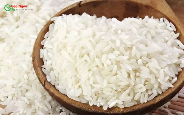 Gạo ngọc nương