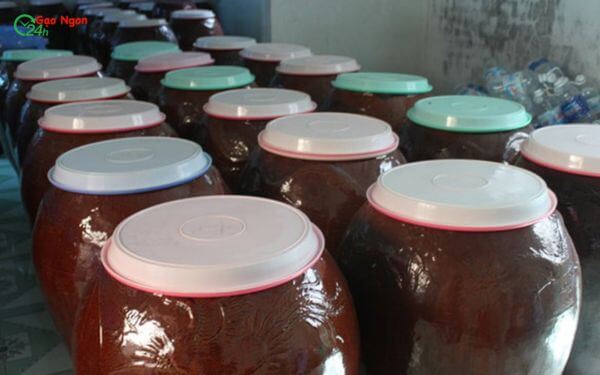 Bảo quản rượu 