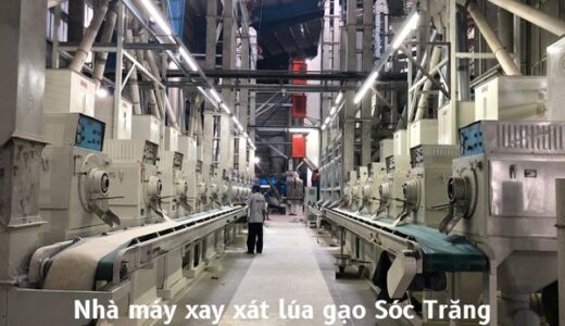 nhà máy xay xát lúa gạo sóc trăng