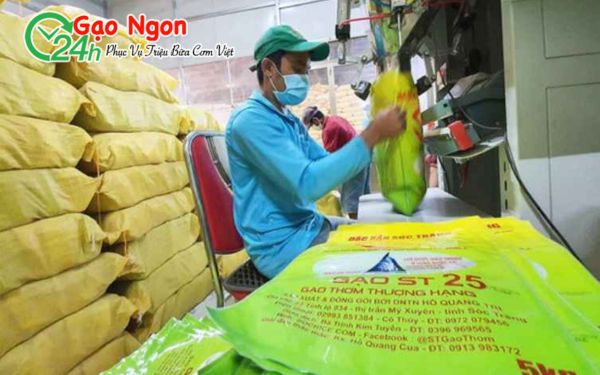 Nhà máy gạo ST25 Sóc Trăng – Gạo ngon 24h