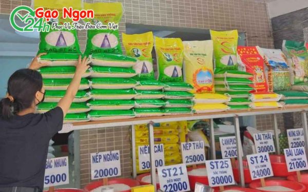 Định hướng mở rộng thị trường của nhà máy gạo ST25 - Tuyển các đại lý phân phối